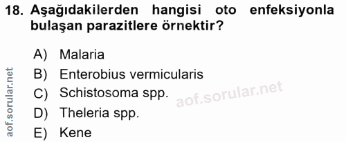 18. soru: Aşağıdakilerden hangisi oto enfeksiyonla bulaşan parazitlere örnektir? A) Malaria B) Enterobius vermicularis C) Schis…