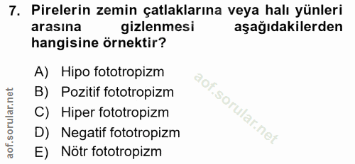 7. soru: Pirelerin zemin çatlaklarına veya halı yünleri arasina gizlenmesi aşağıdakilerden hangisine örnektir? A) Hipo fototro…