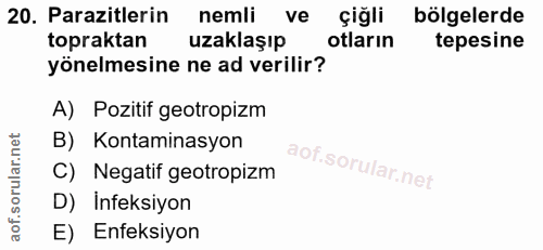 20. soru: Parazitlerin nemli ve çiğli bölgelerde topraktan uzaklaşıp otların tepesine yönelmesine ne ad verilir? A) Pozitif geo…