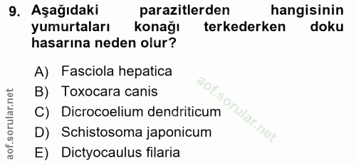 9. soru: Aşağıdaki parazitlerden hangisinin yumurtaları Konağı terkederken doku hasarına neden olur? A) Fasciola hepatica B) T…