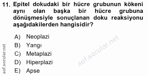 11. soru: Epitel dokudaki bir hücre grubunun kökeni aynı olan başka bir hücre grubuna dönüşmesiyle sonuçlanan doku reaksiyonu a…