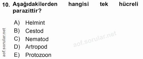 10. soru: Aşağıdakilerden hangisi tek hücreli parazittir? A) Helmint B) Cestod Nematod D) Artropod E) Protozoon