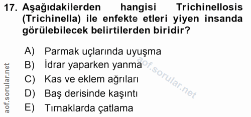 17. soru: Aşağıdakilerden hangisi Trichinellosis (Trichinella) ile enfekte etleri yiyen insanda görülebilecek belirtilerden bir…