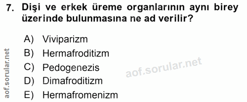 7. soru: Dişi ve erkek üreme organlarının aynı birey üzerinde bulunmasına ne ad verilir? A) Viviparizm B) Hermafroditizm C) Pe…