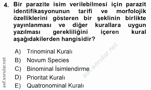 4. soru: Bir parazite isim verilebilmesi için parazit identifikasyonunun tarifi ve morfolojik özelliklerini gösteren bir şekli…