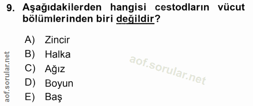 9. soru: Aşağıdakilerden hangisi cestodların vücut bölümlerinden biri değildir? A) Zincir Halka C) Ağız D) Boyun E) Baş