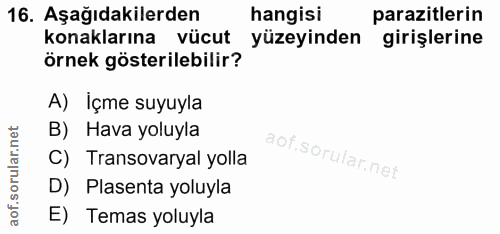 16. soru: Aşağıdakilerden hangisi parazitlerin konaklarına vücut yüzeyinden girişlerine örnek gösterilebilir? A) İçme suyuyla B…