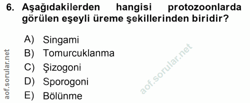 6. soru: Aşağıdakilerden hangisi protozoonlarda hangisi görülen eşeyli üreme şekillerinden biridir? A) Singami rular.net B) To…