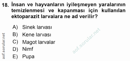 18. soru: İnsan ve hayvanların iyileşmeyen yaralarının temizlenmesi ve kapanması için kullanılan ektoparazit larvalara ne ad ve…