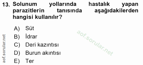 13. soru: Solunum yollarında hastalık yapan parazitlerin tanısında aşağıdakilerden hangisi kullanılır? A) Süt B) Idrar C) Deri…