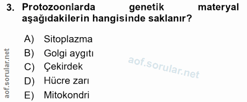 3. soru: Protozoonlarda genetik materyal aşağıdakilerin hangisinde saklanır? A) Sitoplazma B) Golgi aygıtı C) Çekirdek D) Hücr…