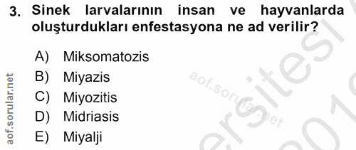 3. soru: 3. Sinek larvalarının insan ve hayvanlarda oluşturdukları enfestasyona ne ad verilir? A) Miksomatozis B) Miyazıs aof.…