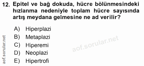 12. soru: Epitel ve bağ dokuda, hücre bölünmesindeki hızlanma nedeniyle toplam hücre sayısında artış meydana gelmesine ne ad ve…