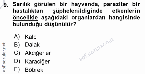 9. soru: Sarılık görülen bir hayvanda, paraziter bir hastalıktan şüphelenildiğinde etkenlerin öncelikle aşağıdaki organlardan…