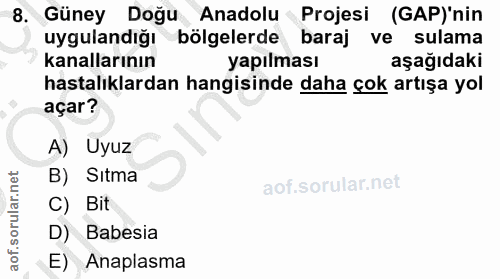 8. soru: Güney Doğu Anadolu Projesi (GAP)'nin uygulandığı bölgelerde baraj ve sulama kanallarının yapılması aşağıdaki hastalık…
