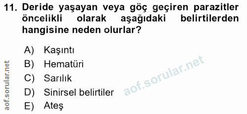 11. soru: Deride yaşayan veya göç geçiren parazitler öncelikli olarak aşağıdaki belirtilerden hangisine neden olurlar? A) Kaşın…