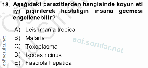 18. soru: Aşağıdaki parazitlerden hangisinde koyun eti iyi pişirilerek hastalığın insana geçmesi engellenebilir? A) Leishmania…
