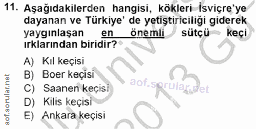 11. soru: Aşağıdakilerden hangisi, kökleri İsviçre'ye dayanan ve Türkiye' de yetiştiriciliği giderek yaygınlaşan en onemli sütç…