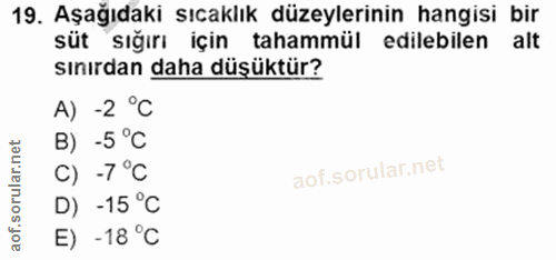 19. soru: Aşağıdaki sıcaklık düzeylerinin hangisi bir süt sığırı için tahammül edilebilen alt sınırdan daha düşüktür? A) -2 °C…