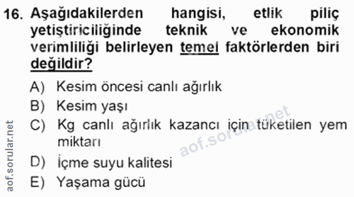 16. soru: Aşağıdakilerden hangisi, etlik piliç yetiştiriciliğinde teknik ive ekonomik verimliliği belirleyen temel faktörlerden…