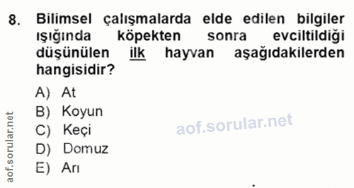 8. soru: Bilimsel çalışmalarda elde edilen bilgiler ışığında köpekten sonra evciltildiği düşünülen ilk hayvan aşağıdakilerden…