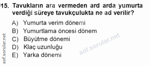 15. soru: Tavukların ara vermeden ard arda yumurta verdiği süreye tavukçulukta ne ad verilir? A) Yumurta verim dönemi B) Yumurt…