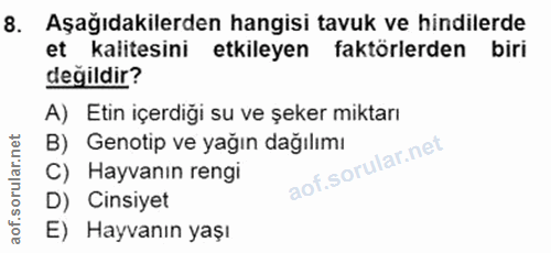 8. soru: Aşağıdakilerden hangisi tavuk ve hindilerde et kalitesini etkileyen faktörlerden biri değildir? A) Etin içerdiği su v…