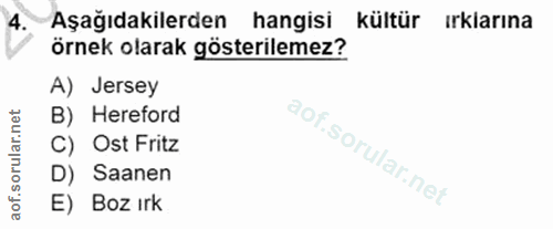 4. soru: Aşağıdakilerden hangisi kültür irklarına örnek olarak gösterilemez? A) Jersey B) Hereford C) Ost Fritz D) Saanen E) B…