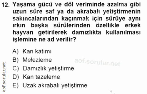 12. soru: Yaşama gücü ve döl veriminde azalma gibi uzun süre saf ya da akrabalı yetiştirmenin sakıncalarından kaçınmak için sür…