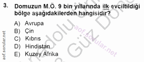 3. soru: Domuzun M.Ö. 9 bin yıllarında ilk evciltildiği bölge aşağıdakilerden hangisidir? A) Avrupa B) Çin C) Kıbrıs sddular.n…