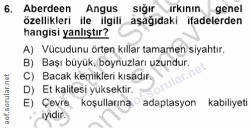 6. soru: Aberdeen Angus sığır ırkının genel özellikleri ile ilgili aşağıdaki ifadelerden hangisi yanlıştır? A) Vücudunu örten…