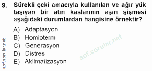 9. soru: Sürekli çeki amacıyla kullanılan ve ağır yük taşıyan bir atın kaslarının aşırı şişmesi aşağıdaki durumlardan hangisin…