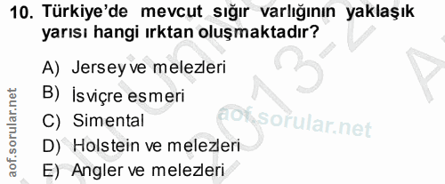 10. soru: Türkiye'de mevcut sığır varlığının yaklaşık yarısı hangi ırktan oluşmaktadır? A) Jerseyve melezleri B) Isviçre esmeri…