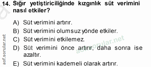 14. soru: Sığır yetiştiriciliğinde kızgınlık süt verimini nasıl etkiler? A) Süt verimini artırır. B) Süt verimini olumsuz yönde…