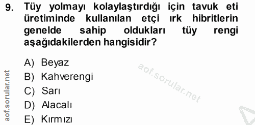 9. soru: Tüy yolmayı kolaylaştırdığı için tavuk eti üretiminde kullanılan etçi ırk hibritlerin genelde sahip oldukları tüy ren…