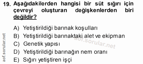 19. soru: Aşağıdakilerden hangisi bir süt sığırı için çevreyi oluşturan değişkenlerden biri değildir? A) Yetiştirildiği barınak…