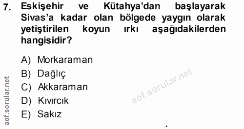 7. soru: Eskişehir ve Kütahya'dan başlayarak Sivas'a kadar olan bölgede yaygın olarak yetiştirilen koyun ırkı aşağıdakilerden…
