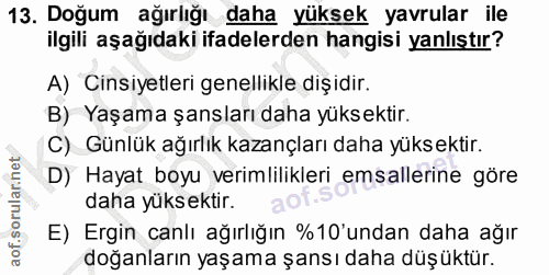 13. soru: Doğum ağırlığı daha yüksek yavrular ile ilgili aşağıdaki ifadelerden hangisi yanlıştır? A) Cinsiyetleri genellikle di…