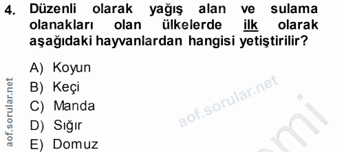 4. soru: Düzenli olarak yağış alan ve sulama olanakları olan ülkelerde ilk kolarak aşağıdaki hayvanlardan hangisi yetiştirilir…