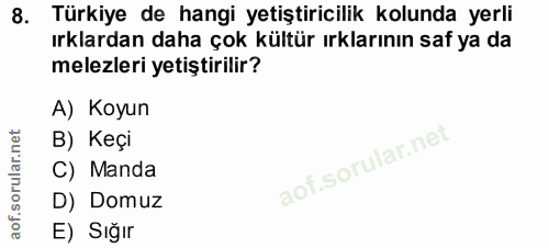 8. soru: Türkiye de hangi yetiştiricilik kolunda yerli ırklardan daha çok kültür ırklarının saf ya da melezleri yetiştirilir?…