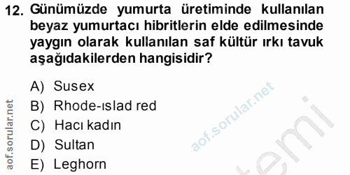 12. soru: Günümüzde yumurta üretiminde kullanılan beyaz yumurtacı hibritlerin elde edilmesinde yaygın olarak kullanılan saf kül…