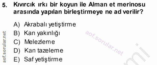 5. soru: Kıvırcık ırkı bir koyun ile Alman et merinosu arasında yapılan birleştirmeye ne ad verilir? A) Akrabalı yetiştirme B)…