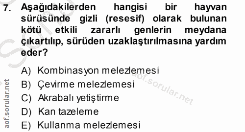 7. soru: Aşağıdakilerden hangisi bir hayvan sürüsünde gizli (resesif) olarak bulunan kötü etkili zararlı genlerin meydana çıka…