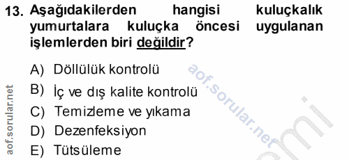 13. soru: Aşağıdakilerden hangisi kuluçkalık yumurtalara kuluçka öncesi uygulanan işlemlerden biri değildir? A) Döllülük kontro…
