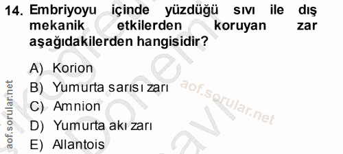 14. soru: Embriyoyu içinde yüzdüğü sıvı ile dış mekanik etkilerden koruyan zar aşağıdakilerden hangisidir? A) Korion B) Yumurta…