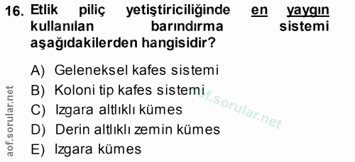 16. soru: Etlik piliç yetiştiriciliğinde en yaygın kullanılan barındırma sistemi aşağıdakilerden hangisidir? A) Geleneksel kafe…