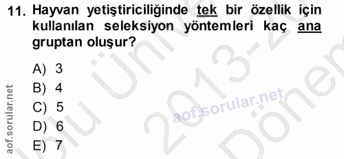 11. soru: Hayvan yetiştiriciliğinde tek bir özellik için kullanılan seleksiyon yöntemleri kaç ana gruptan oluşur? A) 3 B) 4 aof…