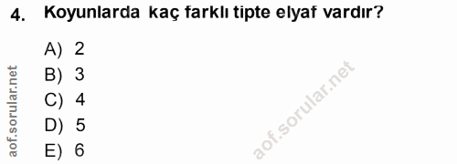 4. soru: Koyunlarda kaç farklı tipte elyaf vardır? A) 2 B) 3 C) 4 D) 5 E) 6