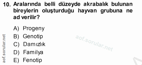 10. soru: Aralarında belli düzeyde akrabalık bulunan bireylerin oluşturduğu hayvan grubuna ne ad verilir? A) Progeny B) Genotip…
