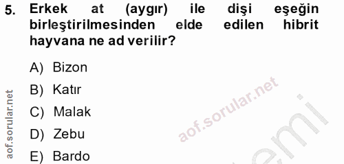 5. soru: Erkek at (aygır) ile dişi eşeğin birleştirilmesinden elde edilen hibrit hayvana ne ad verilir? A) Bizon B) Katır C) M…
